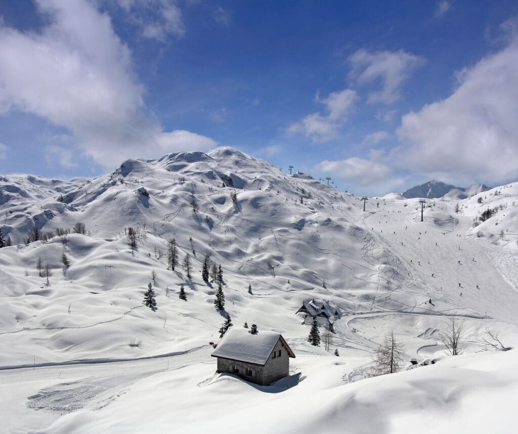 AAM Bled Skigebiet Vogel Shutterstock KK 10