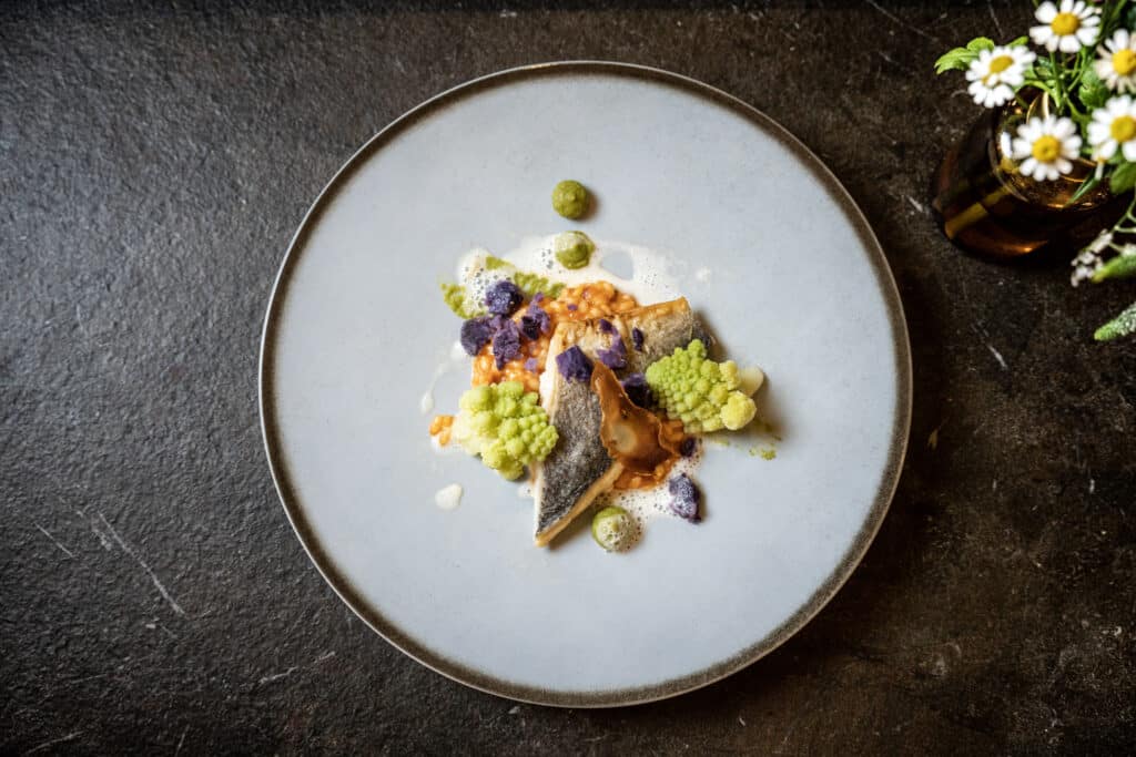 𝟒-𝐒𝐭𝐞𝐫𝐧𝐞haus 𝐰𝐢𝐫𝐝 ein 𝐒𝐭𝐮𝐧𝐝𝐞𝐧𝐡𝐨𝐭𝐞𝐥 3 126 3374 LR Seefischer Restaurant 2022 by Gert Perauer